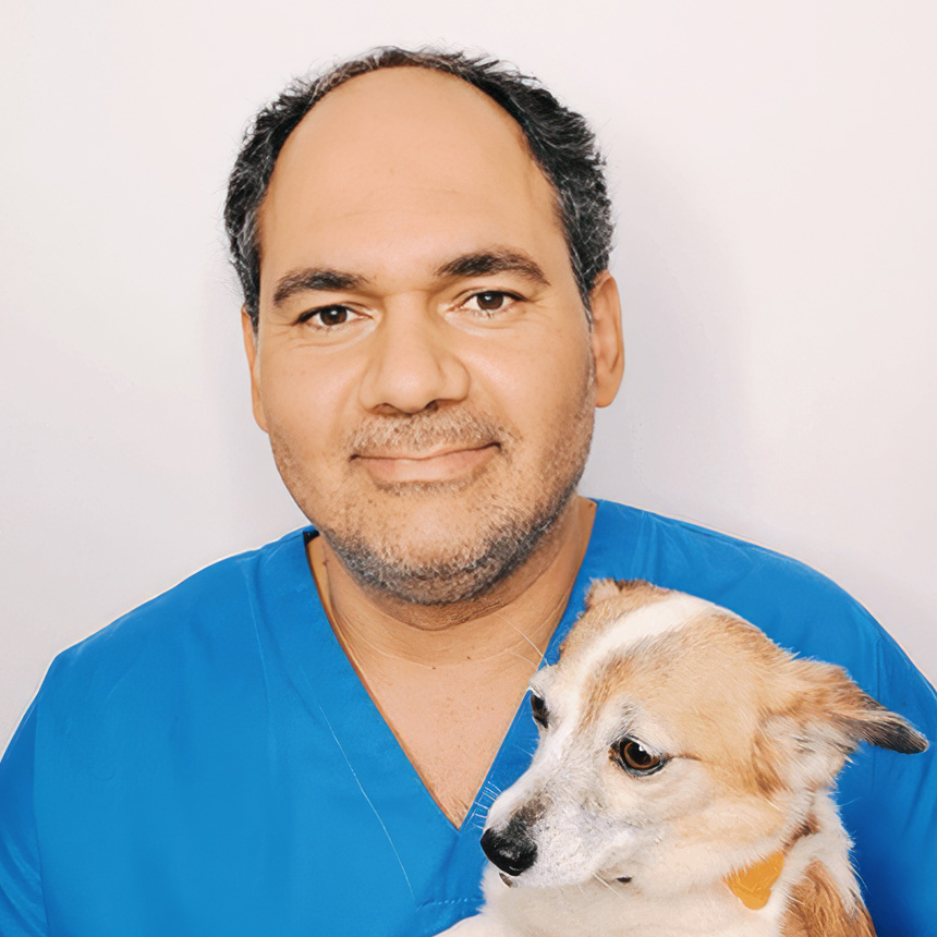 https://vetmanagersbg.com/wp-content/uploads/2024/07/US-vladi.jpg